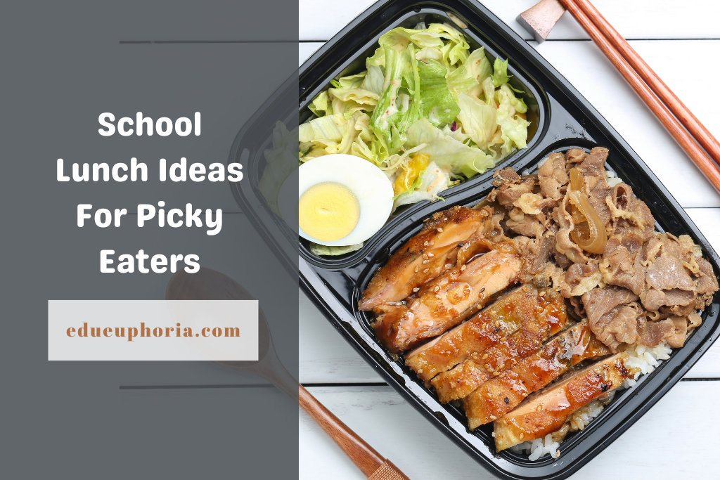 school-lunch-ideas-for-picky-eaters