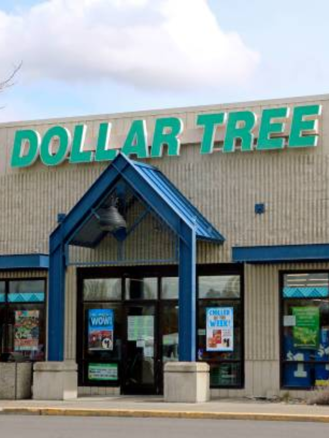 11-grocery-items-to-buy-at-dollar-tree