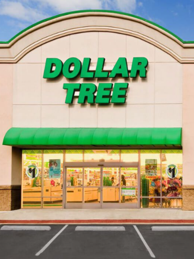 Best Dollar Tree Items To Stock Up On for Thanksgiving