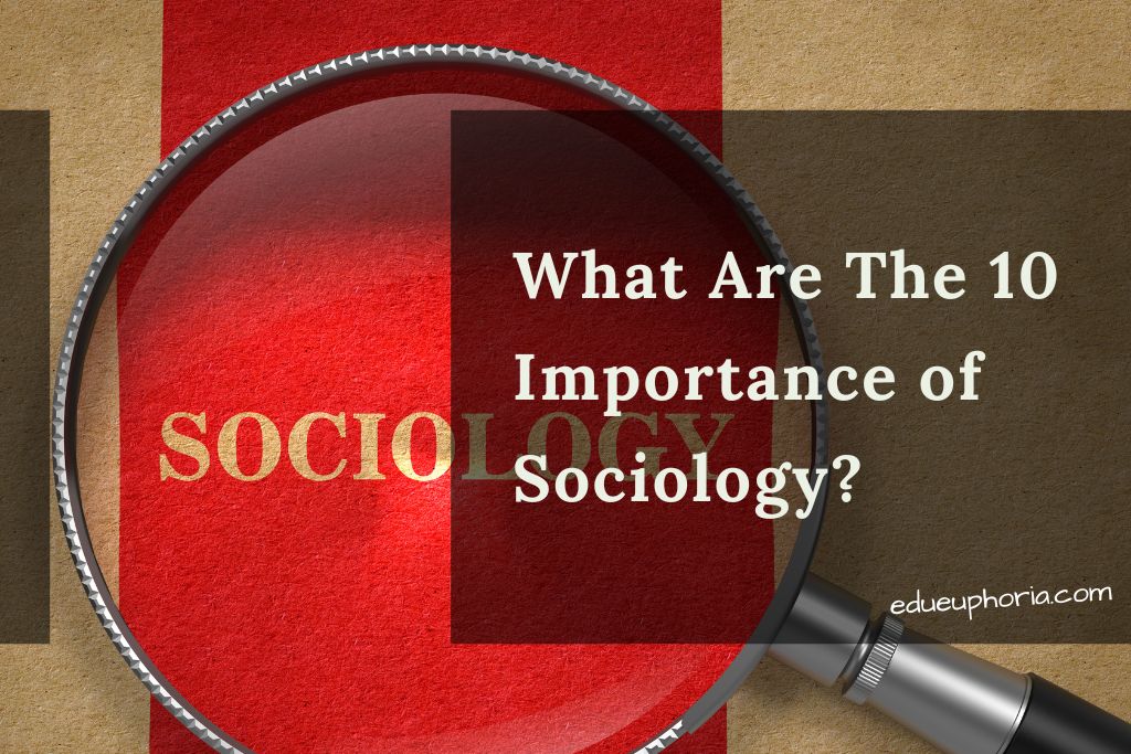 What Are The 10 Importance of Sociology?
