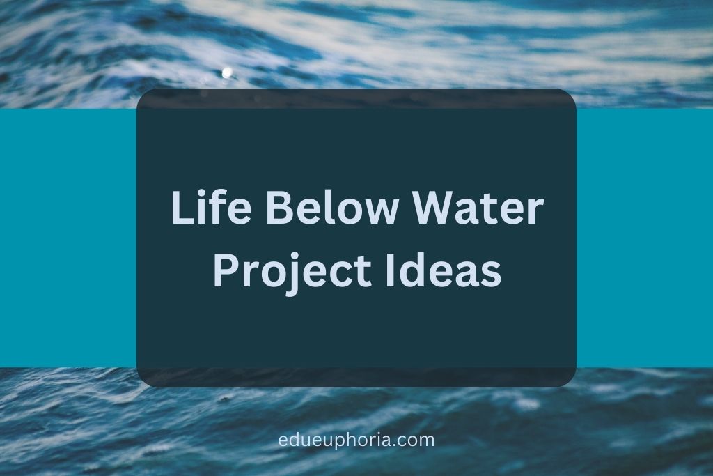 Life Below Water Project Ideas